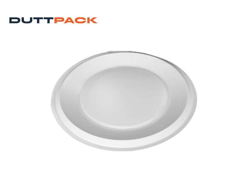 Round Paper Plate